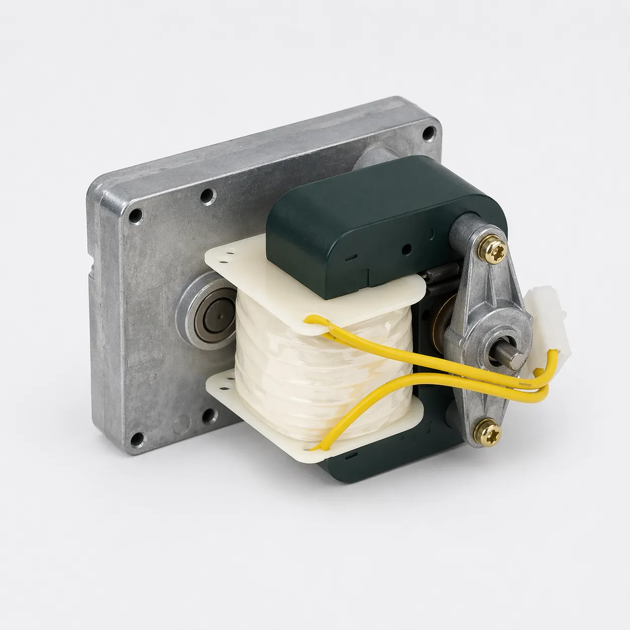 Fleck Timer Motor 220 V 1/30 RPM